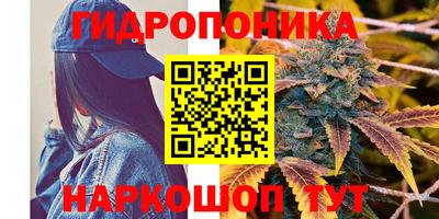 сатива Мариинск