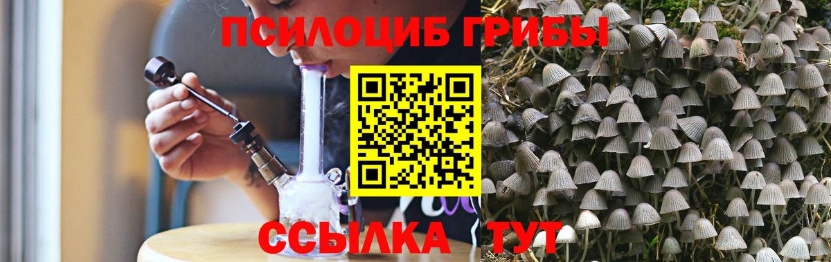 Псилоцибиновые грибы прущие грибы  Вход с VPN  Псилоцибиновые грибы прущие грибы  Ялуторовск 